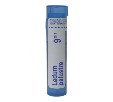 LEDUM PALUSTRE 9 CH